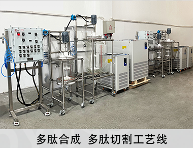 中試多肽合成一條線固相釜